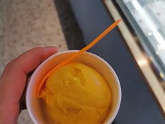 -iceason爱茜茜里·意大利健康冰淇淋(骑龙巷店)