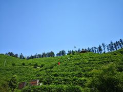 -心无尘茶餐馆(径山村店)