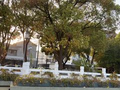 -东关历史文化旅游区-东门遗址