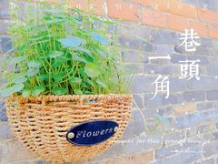 -东关街美食广场