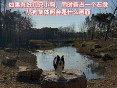 -上海山野camping·户外天幕烧烤·团建拓展营地