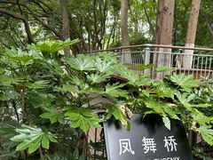 -红梅公园