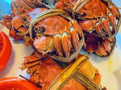 -水岸居湖景农家乐·阳澄湖大闸蟹