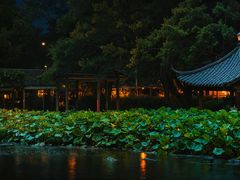 -光明港公园