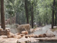-北京野生动物园
