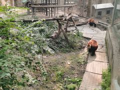 -成都动物园