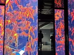 -中国湿地博物馆