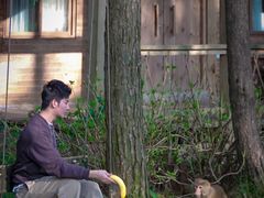 -重庆雨台山风景区