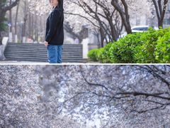 -山东师范大学(千佛山校区)