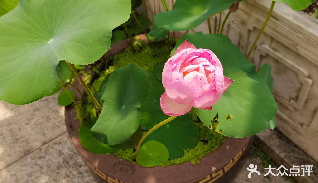 法藏讲寺