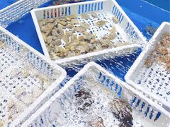 -明本湛江鸡•海鲜小厨(陈家祠店)