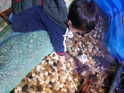 -酷嗒动物文化乐园(cutezoo西溪乐天城店)