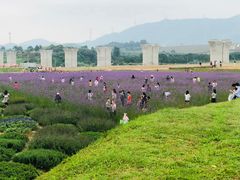 -光明小镇欢乐田园