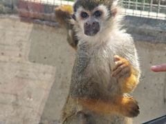 -石家庄市动物园