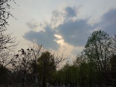 -将府公园