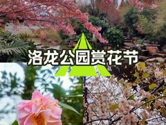 -洛龙公园