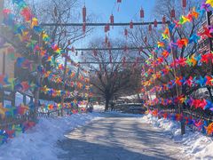 -北京西山国家森林公园