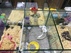 -米卢宠物公园(广华居店)