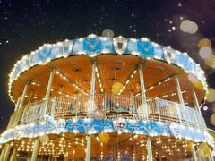 -锦江乐园舞狸花花游园会(夜场专享)