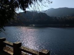 -庐山风景区花径公园