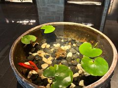 -曲水兰亭(北京四惠店)