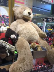 点击看大图 -kidsland(颐堤港店)