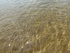 -碧海金沙
