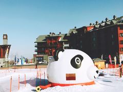 -中旅松花湖滑雪场