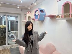 -青奢宠物·青奢猫舍