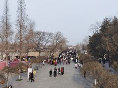 -赵州桥景区