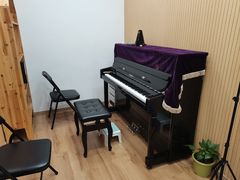 -珠江钢琴艺术中心(文一路店)