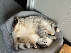 -海底捞火锅(奉化银泰店)