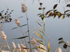 -野鸭湖国家湿地公园