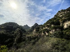 -大岭沟猕猴桃谷风景区