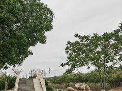 -大港湿地公园
