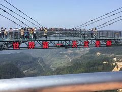 -梦幻奥陶纪景区