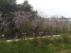 android_upload_pic-红山村