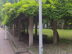 -同济大学(沪西校区)