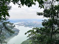 -铁山坪森林公园