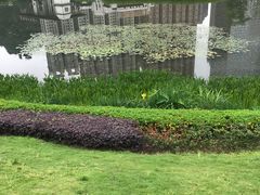 -花果园湿地公园