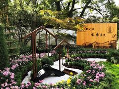 -汇龙潭