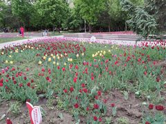 -长春公园(普阳街道)