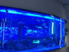 -上和臻品中国菜(花园街店)