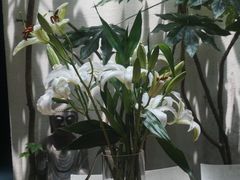 -太平老街-前行美术馆