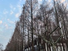 -太阳岛度假酒店