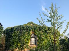 -云端咖啡(山顶教堂店)