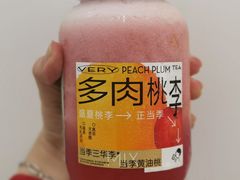 多肉桃李-喜茶(广州中山六路店)