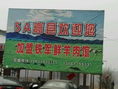 -铁军鲜羊肉汤