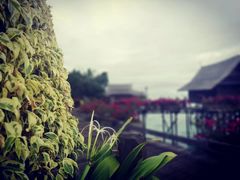 -卡帕莱度假村(西巴丹岛)