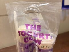 -一只酸奶牛(八一路店)